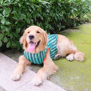 3XL ~ 8XL Chemise pour <span class=keywords><strong>chien</strong></span> pastèque Gilet sans manches Summer Thin Style Medium Large Dogs - Product Image 3