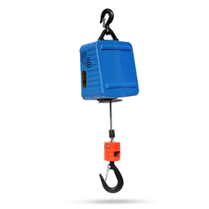 Palăng điện cầm tay đa năng-công cụ nâng nhẹ mới với dây cáp 220V công suất 500kg cho các trang trại - Product Image 5