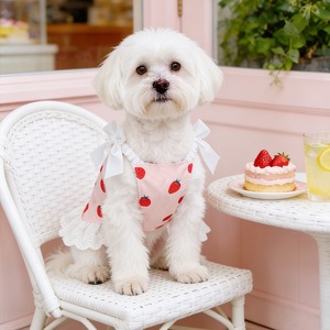 Robe pour chien motif fraises rose, style princesse mignon, vêtements printemps-été pour petites races - Product Image 2