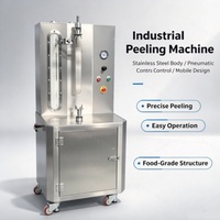 Elektrische automatische watermeloen-, pompoen- en ananas-schiller, elektrische machine voor het schillen van groenten en fruit