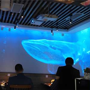 Meilleure qualité P6 modèle fenêtre holographique écran LED <span class=keywords><strong>affichage</strong></span> transparent pour la publicité dans les magasins de manucure flexible pour les murs de verre - Product Image 6