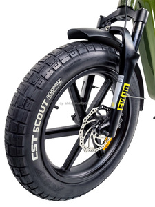 Bicicleta de Neumáticos Anchos de 20 Pulgadas para Mujeres, Familias y Desplazamientos Urbanos, 48V 20Ah 1000 - Product Image 4