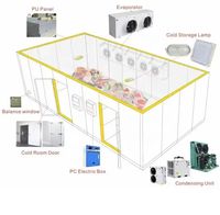Nouveau congélateur conteneur modulaire XUEFENG sur mesure, chambre froide à compresseur refroidi par air, multi-tension 110V-480V, économe en énergie