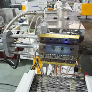 Linea di produzione di granuli biodegradabili PLA PBAT macchina per la produzione di perline di plastica di polistirene