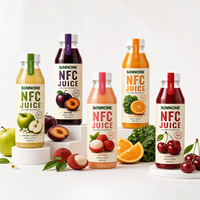 Jus de prune fruité pétillant en bouteille mini 250ml NFC OEM Marque privée Échantillon gratuit Vente en gros Faible MOQ