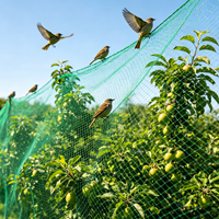 Maagdelijk HDPE geëxtrudeerd groen anti-vogelnet, UV-gestabiliseerd plastic vogelbeschermingsgaas voor boomgaard, wijngaard, fruitbomen en landbouw