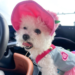 בגדי קיץ סיטונאיים לכלבים וחתולים, חצאית ג'ינס ורודה אופנתית עם הדפס מצויר בסגנון קאובוי לכלבים קטנים, לאביב וסתיו - Product Image 5