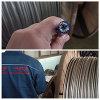 Cable Eléctrico de Aluminio Reforzado con Acero (ACSR) de un Solo Núcleo para Construcción, Cumple con la Norma IEC 61089