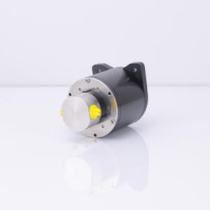 Bomba de engranajes magnética sin escobillas de alta temperatura 40W para aceite combustible, mini bomba de engranajes con sello, grado alimenticio, precio para máquina de llenado de líquidos - Product Image 1