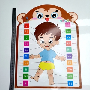 Pósteres Educativos con Forma de Oso LELEYU para Niños en Edad Preescolar, Gráfico de Aprendizaje para el Aula de Jardín de Infancia - Product Image 2