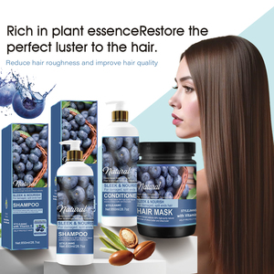 Champú y Acondicionador con Vitamina E y Arándanos Naturales OEM, Champú Reparador para el Cabello para Uso en Salón - Product Image 1