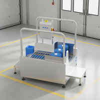 Machine automatique de nettoyage des semelles de chaussures avec brosses rotatives pour l'hygiène des entrées d'usine et la prévention de la contamination