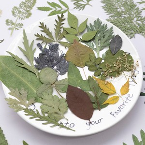 500 pièces/paquet, marque-pages et cadre photo artisanaux en fleurs pressées de type varié, aspect réaliste - Nouvel An chinois, Saint-Valentin - Product Image 6