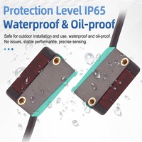 Sensor Perpindahan Laser Optik Presisi Tinggi WTX Output NPN/PNP Respon Cepat Jangkauan Deteksi 1-30cm Bentuk Kotak Kecil BGS