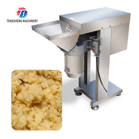 Hoge capaciteit knoflookpersmachine, stille knoflookverwerkingsmachine, knoflooksausproductie-industrie