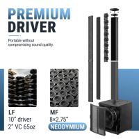 [NUEVO] Sistema de Sonido PA Accuracy Pro Audio AC62, Altavoz de Columna Activo Profesional con Línea de Bajos de 10 Pulgadas y DSP