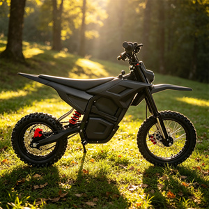 Motocicleta de montaña M5 con motor de transmisión directa de montaje medio, 120 Nm de torque, para pendientes pronunciadas y cross country. - Product Image 1
