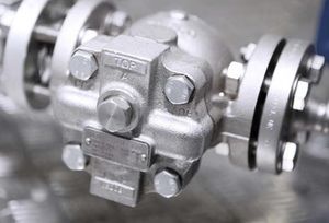 Trampa de Vapor Neumática de Bola Spirax Sarco FT14, Conexión Bridada, Tamaño de Puerto de 1/2, para Drenaje de Plantas, Termostática de Flotador - Product Image 6