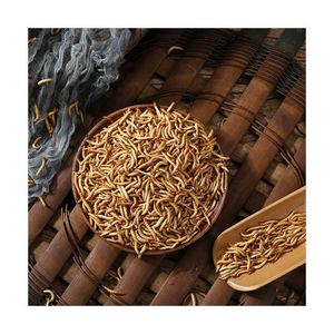 Venda Direta Da Fábrica Natural Seco Mealworm Bread Worms Pet <span class=keywords><strong>Food</strong></span> para Hamsters Pássaros Outros Pequenos Animais - Product Image 2