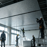 Panneaux de plafond acoustiques en aluminium perforé pour projets commerciaux |   Taille personnalisée |   Finition PVDF