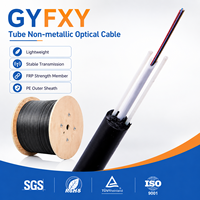 Câble à fibres optiques GYFXY extérieur à tube central lâche avec deux FRP parallèles, 2, 6, 12, 24 cœurs, 12 fibres, pour conduit aérien, monomode