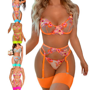 Nieuw Design Valentijnsdag 4-delig Sexy Erotisch Ondergoed Kant Lingerie Fruitkleur Transparante Dameslingerie Sets - Product Image 1