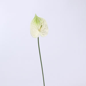 Flores de Anthurium de plástico artificial con tacto realista de un solo tallo, Material de PU, decoración para fiesta de boda en casa, arreglo floral - Product Image 5
