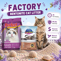 Sable de litière pour chat OEM personnalisé, écologique, 20 kg, bentonite naturelle, contrôle des odeurs, sans poussière, pour distribution de marque