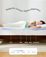 Wanfeng Kühlende Moderne Gel-Memory-Foam-Matratzenauflage für Zuhause, Hotel, Studentenwohnheim, Mietbett, Tatami-Bettmatte