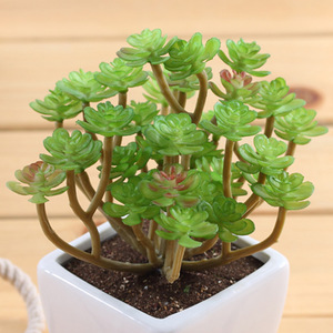 Phổ biến nhân tạo mọng nước hoa sắp xếp thực tế lớn cây mọng nước cho hồ cạn cây xanh ngoài trời và trong nhà - Product Image 3