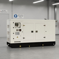 Générateur diesel agricole professionnel 15kW-50kW, démarrage automatique, contrôleur intelligent, groupe électrogène diesel pour serre et élevage avicole