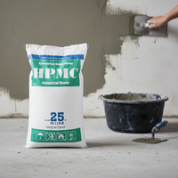 Hydroxypropylméthylcellulose (HPMC) en poudre, marque TANGZHI, haute pureté, additif pour mortier de ciment, rétention d'eau pour mélange sec, 25 kg/sac