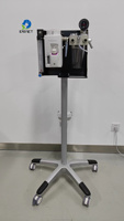 Appareil d'anesthésie vétérinaire portable professionnel compatible avec l'IRM EUR VET, anesthésie par inhalation, diagnostic des animaux de compagnie, équipement vétérinaire