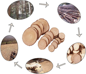 Lát Gỗ Tròn Miếng Trống Chưa Hoàn Thành Lát Gỗ Tự Nhiên Bán Buôn Để Tự Làm Đồ Thủ Công - Product Image 2