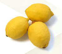 Hoge Kwaliteit Verse Citroen Limon Verse Voor Drankjes Fruit Landbouw Verse Citroen Simon Verse Sappige Zure Ovaal-Ronde Nieuwste crop
