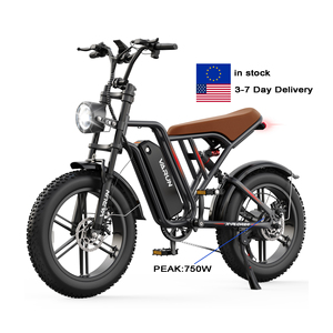 Bicicleta Eléctrica de Montaña con Neumáticos Gruesos de 20 Pulgadas, Alcance de 65 km, 750 W de Potencia Máxima, Suspensión Completa, para Paseos Todoterreno, Adultos, en Existencia en la UE, Directo de Fábrica - Product Image 1