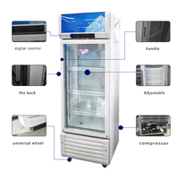 Réfrigérateur-Vitrine Verticale Commerciale à Porte Simple pour Supermarché, Refroidisseur de Bières et Boissons Fraîches avec Porte en Verre