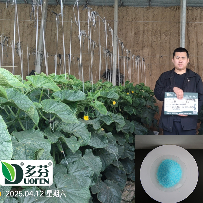 Wholesale NPK 20-20-20+TE Soluble Fertilizer Powder image 3
