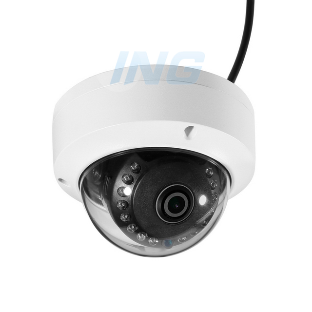 Best Selling 1080P 2MP IR Night Vision IP Camera IP66 Waterproof  Dome Metal CCTV Camera
