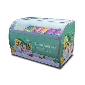 <span class=keywords><strong>Congelador</strong></span> <span class=keywords><strong>Horizontal</strong></span> YINZHENG de Doble Puerta para Yogur Frito de Corte Grueso, Helados y Paletas Congeladas - Product Image 1