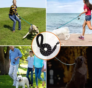 Sıcak satış yeni stil yansıtıcı naylon yuvarlak halat köpek tasma ağır ve yürüyüş için 360 ° döner kanca koşu eğitim - Product Image 6