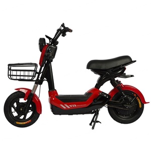 Nouveau Vélo Électrique Adulte 2025 – Modèle le Plus Récent – Vélo Électrique de Fabrication Directe – Vente Chaude - Product Image 1