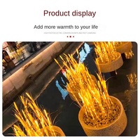 Lampes LED à piquer au sol, blanc chaud, motifs épi de blé/méduse/luciole, étanches IP65, contrôle électrique non intelligent, pour extérieur