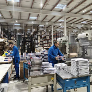 Agente de envíos con sede en España para servicios de logística exprés puerta a puerta de EE. UU. por aire y mar, incluyendo aranceles e impuestos. - Product Image 1