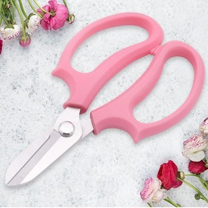 Nice <b>Pruning</b> Shears 48mm Stainless Steel Straight Head Garden <b>Tool</b> For Fruit <b>Tree</b> Orchard Use - Product Image 1