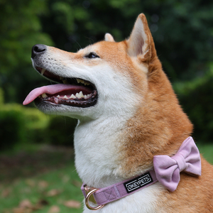 <span class=keywords><strong>Collar</strong></span> de Perro de Felpa Suave de Terciopelo con Hebilla Dorada, <span class=keywords><strong>Collar</strong></span> Personalizado de Diseño con Color Personalizado para Perros Pequeños - Product Image 6