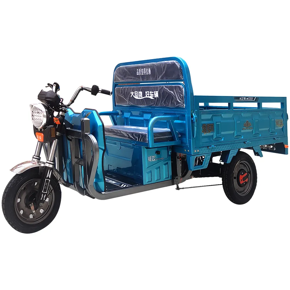 Elektrische Mini Lieferung Fracht Dreiräder 3 Rad elektrische Fracht Fahrrad schwere 1 Tonne Trike Motorrad Pakistan
