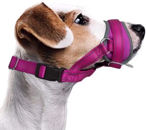 Neoprene Dog Face Mõm Nylon Lồng Cho Chó Nhỏ, Vừa, Lớn Ngăn Ngừa Cắn, Sủa Và Nhai, Vòng Điều Chỉnh - Product Image 1