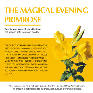 כמוסות שמן פרימרוזה ספורטיביות - GLA להתאוששות ובריאות המפרקים, אספקה בכמות גדולה עם אישור GMP - Product Image 5