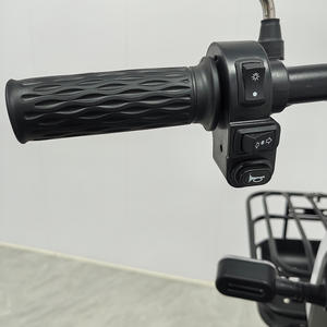 Patinete eléctrico de movilidad Holladay de 48V para ancianos y discapacitados, plegable y ligero, cuerpo abierto, diseño de 4 ruedas - Product Image 6